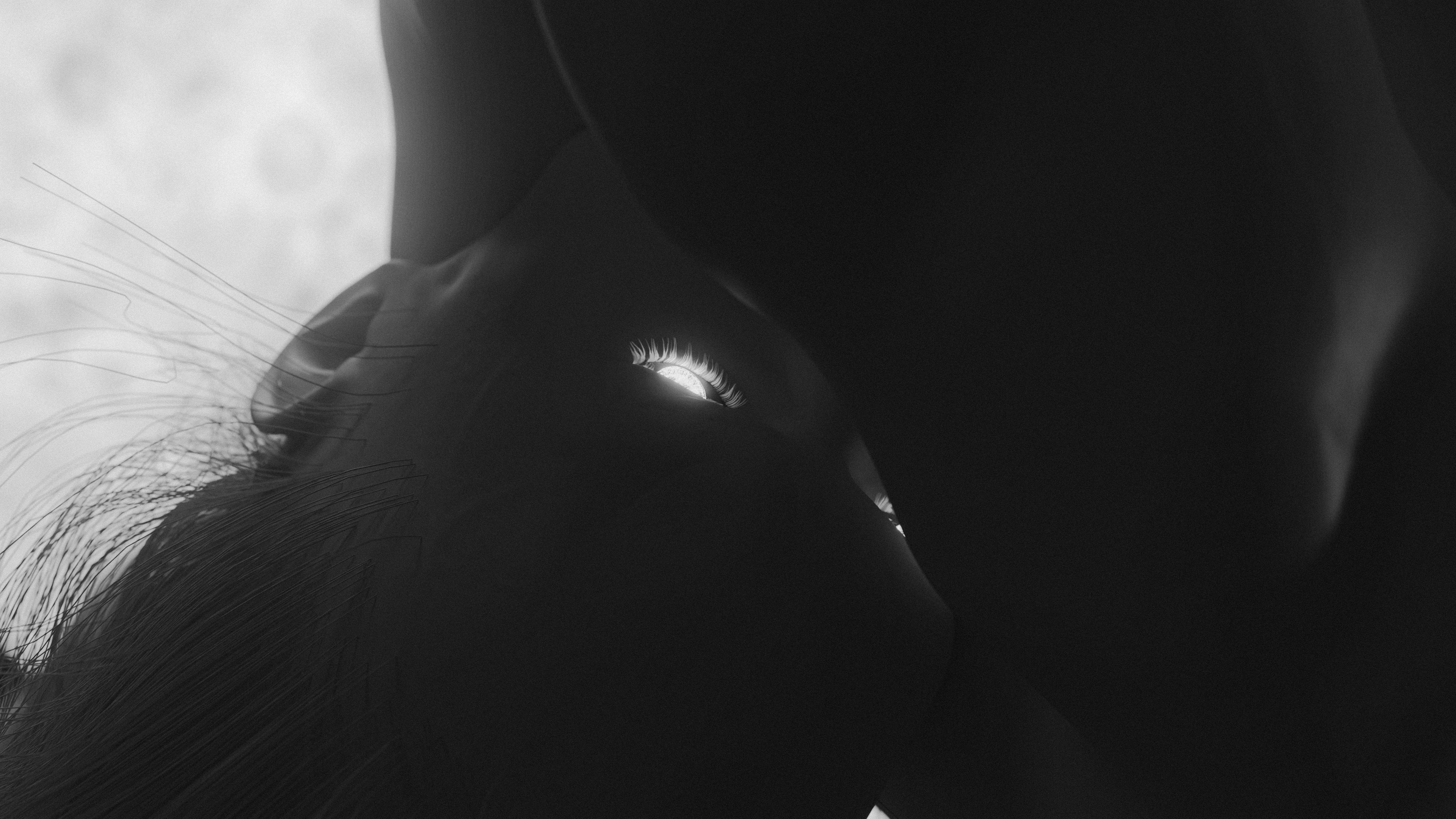Moon render 5